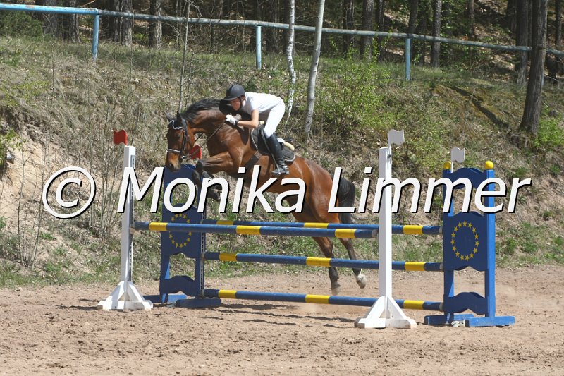 203M6775_Upper Class_Punkte_L.JPG